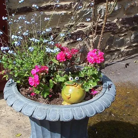 Le Moulin Du Bignon Bed and breakfast *
