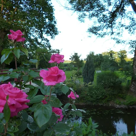 Le Moulin Du Bignon *